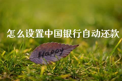怎么设置中国银行自动还款_https://www.fsyjjx.cn_问财精选_第1张