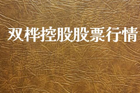 双桦控股股票行情_https://www.fsyjjx.cn_股市分析_第1张