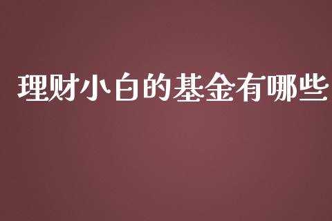 理财小白的基金有哪些_https://www.fsyjjx.cn_问财精选_第1张