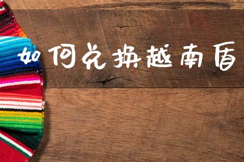 如何兑换越南盾_https://www.fsyjjx.cn_期货在线_第1张