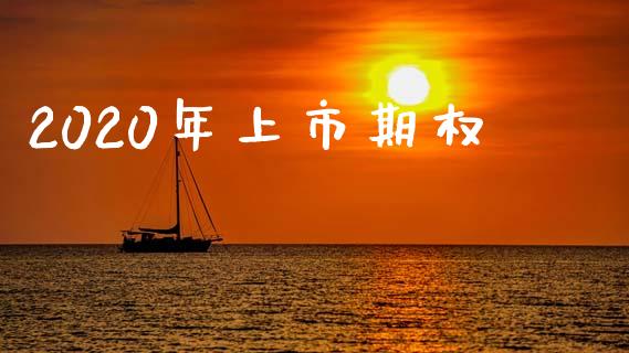 2020年上市期权_https://www.fsyjjx.cn_理财资讯_第1张
