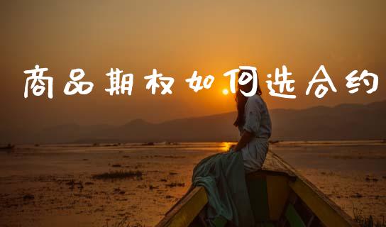 商品期权如何选合约_https://www.fsyjjx.cn_期货在线_第1张