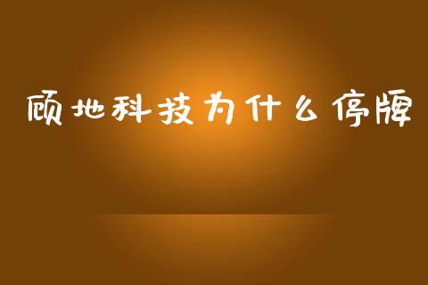 顾地科技为什么停牌_https://www.fsyjjx.cn_股指期货_第1张