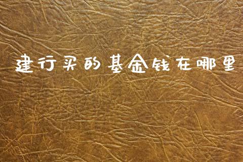 建行买的基金钱在哪里_https://www.fsyjjx.cn_问财精选_第1张