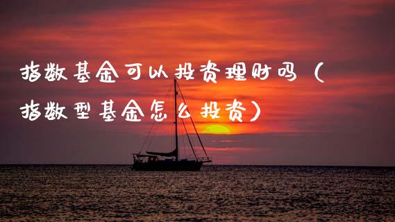 指数基金可以投资理财吗（指数型基金怎么投资）_https://www.fsyjjx.cn_问财精选_第1张