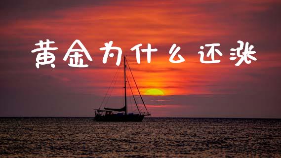 黄金为什么还涨_https://www.fsyjjx.cn_理财资讯_第1张