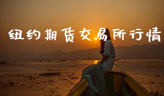 纽约期货交易所行情_https://www.fsyjjx.cn_期货研报_第1张
