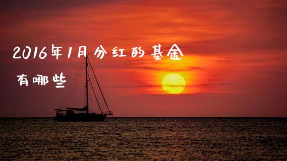 2016年1月分红的基金有哪些_https://www.fsyjjx.cn_期货研报_第1张