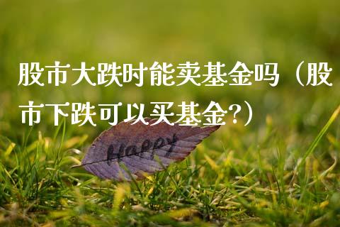 股市大跌时能卖基金吗（股市下跌可以买基金?）_https://www.fsyjjx.cn_问财精选_第1张