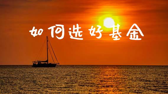 如何选好基金_https://www.fsyjjx.cn_问财精选_第1张