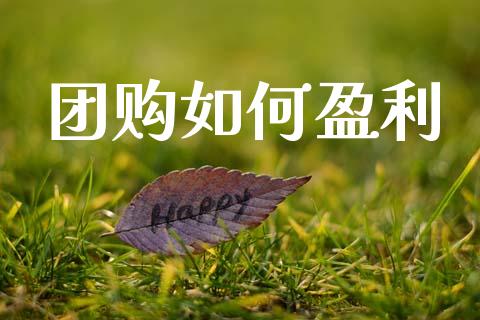 团购如何盈利_https://www.fsyjjx.cn_理财资讯_第1张