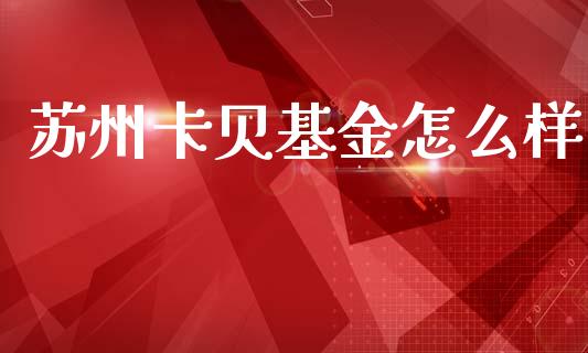 苏州卡贝基金怎么样_https://www.fsyjjx.cn_理财资讯_第1张
