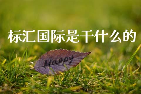 标汇国际是干什么的_https://www.fsyjjx.cn_期货在线_第1张