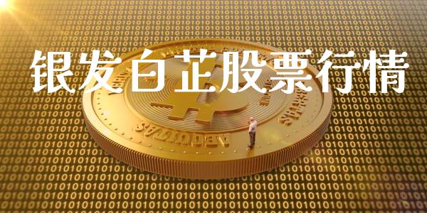银发白芷股票行情_https://www.fsyjjx.cn_股市分析_第1张