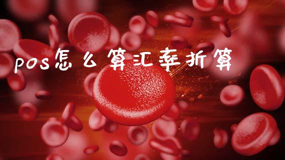pos怎么算汇率折算_https://www.fsyjjx.cn_期货研报_第1张