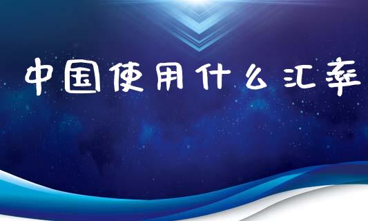 中国使用什么汇率_https://www.fsyjjx.cn_理财资讯_第1张