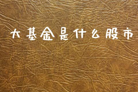 大基金是什么股市_https://www.fsyjjx.cn_问财精选_第1张