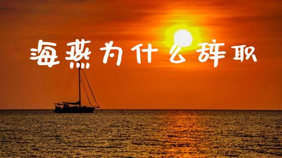 海燕为什么辞职_https://www.fsyjjx.cn_期货在线_第1张