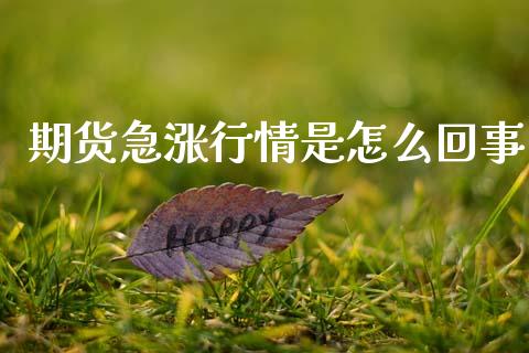 期货急涨行情是怎么回事_https://www.fsyjjx.cn_期货研报_第1张