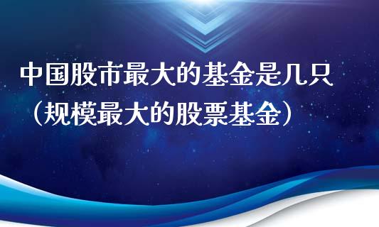 中国股市最大的基金是几只（规模最大的股票基金）_https://www.fsyjjx.cn_理财资讯_第1张