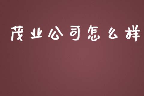 茂业公司怎么样_https://www.fsyjjx.cn_理财资讯_第1张