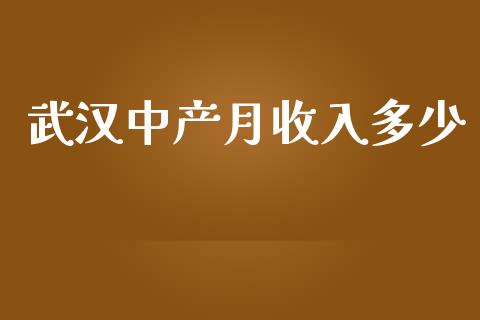 武汉中产月收入多少_https://www.fsyjjx.cn_股指期货_第1张