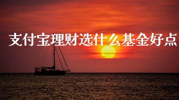 支付宝理财选什么基金好点_https://www.fsyjjx.cn_问财精选_第1张