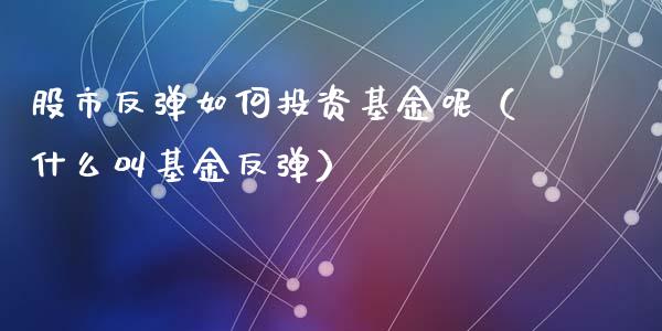 股市反弹如何投资基金呢（什么叫基金反弹）_https://www.fsyjjx.cn_问财精选_第1张