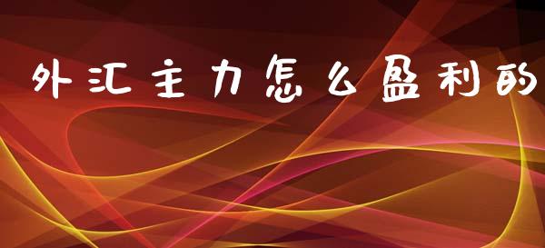 外汇主力怎么盈利的_https://www.fsyjjx.cn_期货研报_第1张