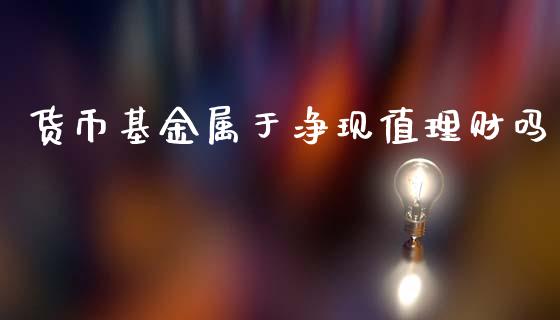 货币基金属于净现值理财吗_https://www.fsyjjx.cn_问财精选_第1张