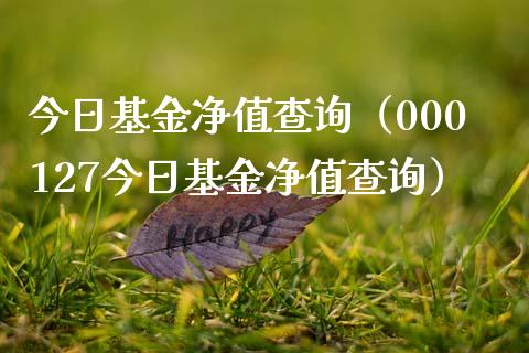 今日基金净值查询（000127今日基金净值查询）_https://www.fsyjjx.cn_理财资讯_第1张