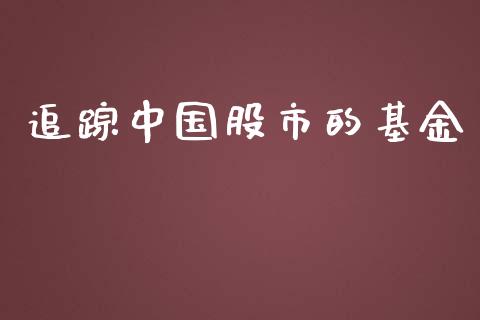 追踪中国股市的基金_https://www.fsyjjx.cn_问财精选_第1张