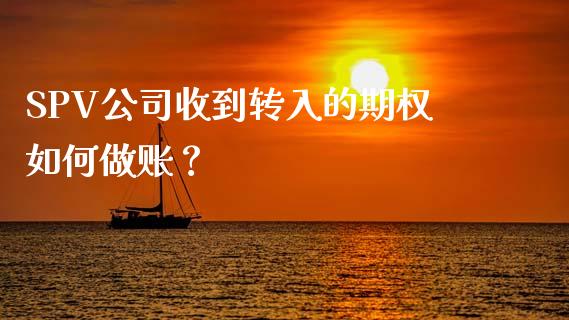 SPV公司收到转入的期权如何做账？_https://www.fsyjjx.cn_股票指导_第1张