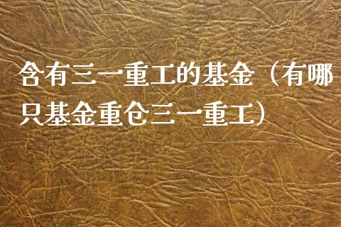 含有三一重工的基金（有哪只基金重仓三一重工）_https://www.fsyjjx.cn_股票指导_第1张