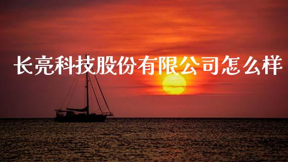 长亮科技股份有限公司怎么样_https://www.fsyjjx.cn_期货研报_第1张