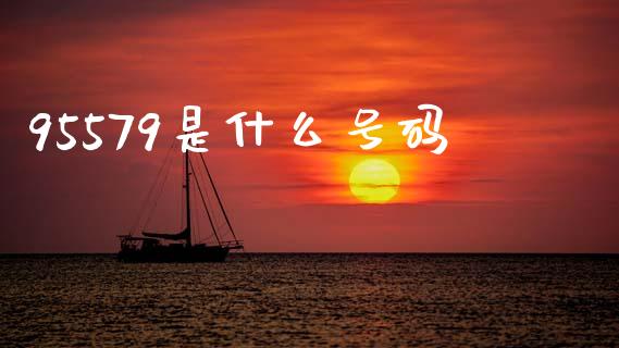 95579是什么号码_https://www.fsyjjx.cn_期货在线_第1张