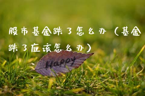 股市基金跌了怎么办（基金跌了应该怎么办）_https://www.fsyjjx.cn_问财精选_第1张
