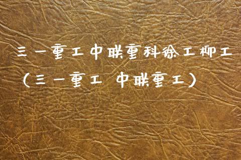三一重工中联重科徐工柳工（三一重工 中联重工）_https://www.fsyjjx.cn_股市分析_第1张