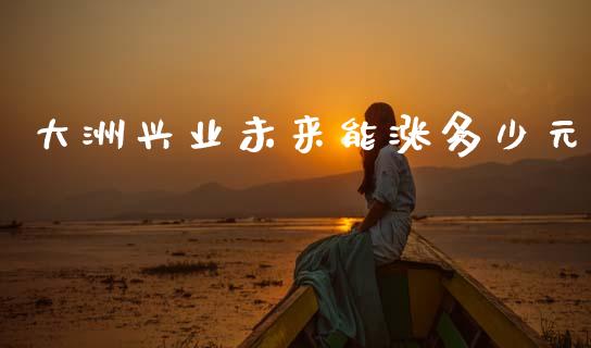 大洲兴业未来能涨多少元_https://www.fsyjjx.cn_期货在线_第1张