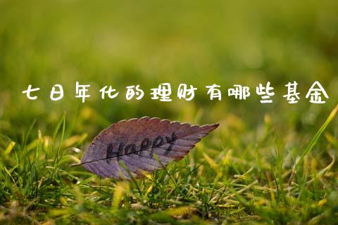 七日年化的理财有哪些基金_https://www.fsyjjx.cn_问财精选_第1张