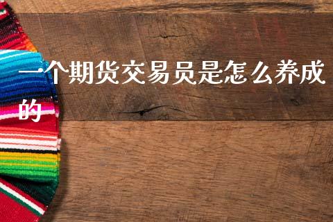 一个期货交易员是怎么养成的_https://www.fsyjjx.cn_理财资讯_第1张