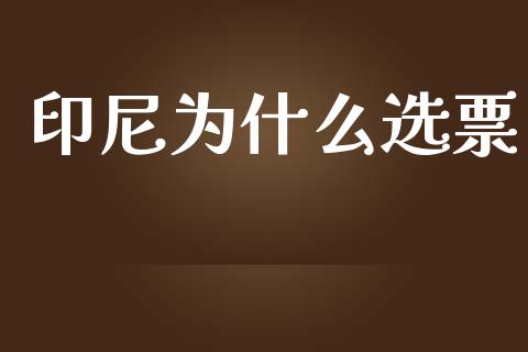 印尼为什么选票_https://www.fsyjjx.cn_股指期货_第1张