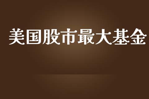 美国股市最大基金_https://www.fsyjjx.cn_问财精选_第1张