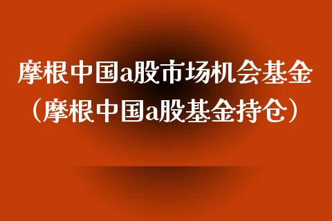 摩根中国a股市场机会基金（摩根中国a股基金持仓）_https://www.fsyjjx.cn_问财精选_第1张
