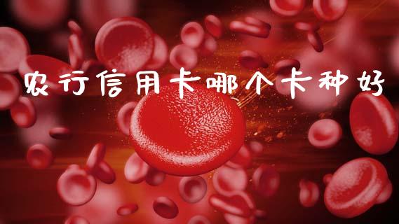 农行信用卡哪个卡种好_https://www.fsyjjx.cn_期货资讯_第1张