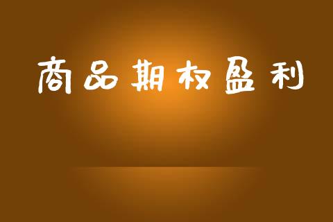 商品期权盈利_https://www.fsyjjx.cn_期货研报_第1张