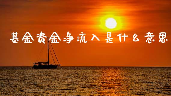 基金资金净流入是什么意思_https://www.fsyjjx.cn_期货研报_第1张