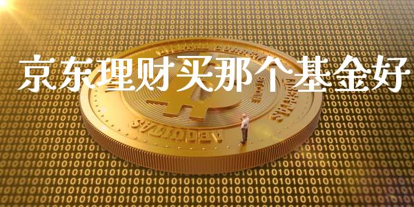京东理财买那个基金好_https://www.fsyjjx.cn_问财精选_第1张
