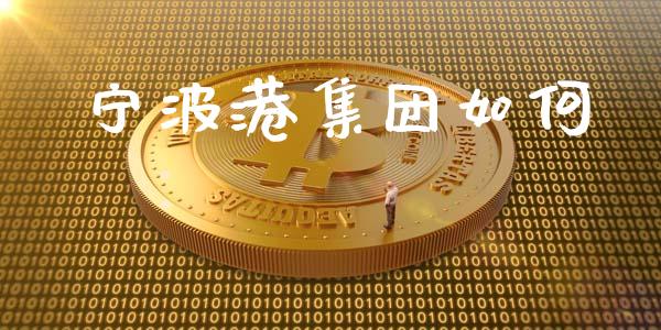 宁波港集团如何_https://www.fsyjjx.cn_股市分析_第1张
