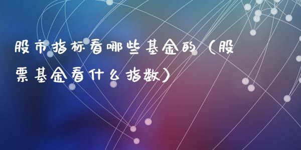 股市指标看哪些基金的（股票基金看什么指数）_https://www.fsyjjx.cn_问财精选_第1张